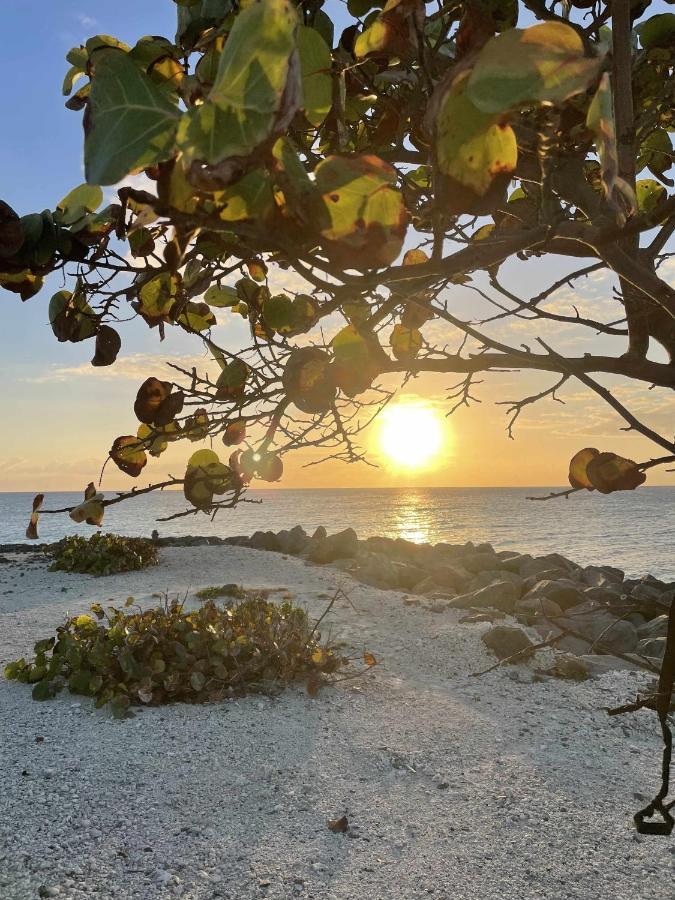 El Mundo Soleado Apartman Santa Pola Kültér fotó