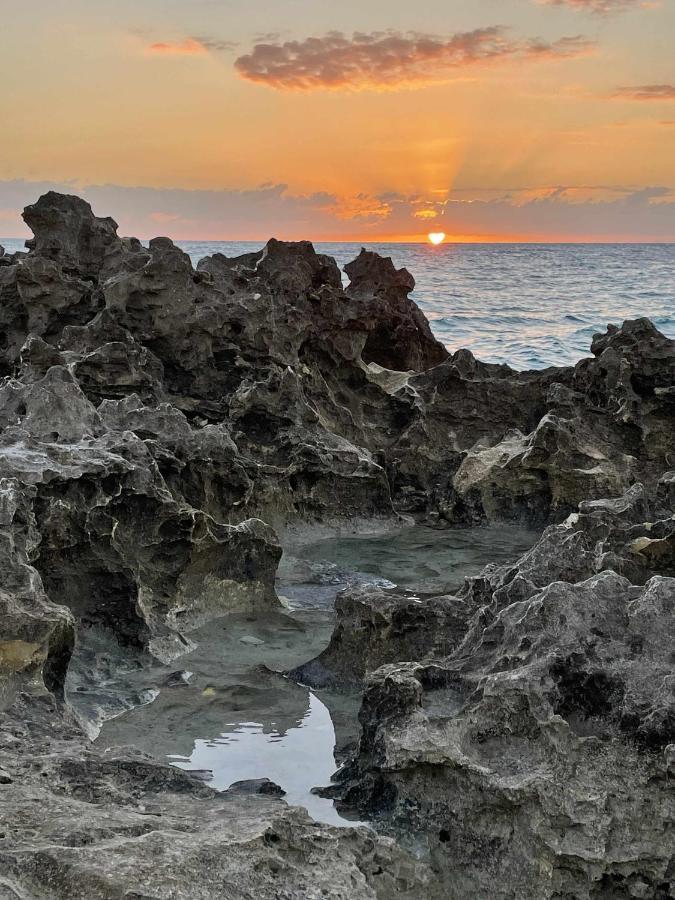 El Mundo Soleado Apartman Santa Pola Kültér fotó