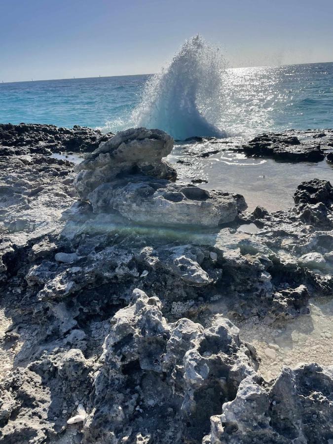 El Mundo Soleado Apartman Santa Pola Kültér fotó