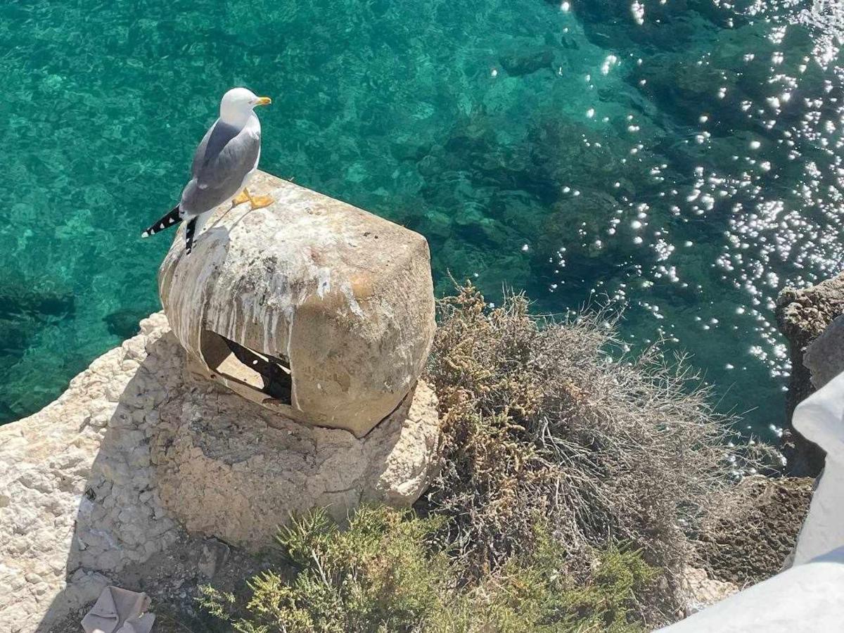 El Mundo Soleado Apartman Santa Pola Kültér fotó